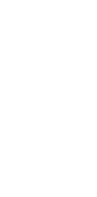 development The Pangea Group of Companies Development